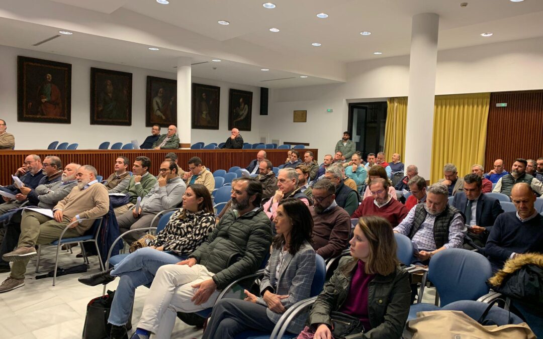 Aprobada la Procesión Magna Mariana de Jerez